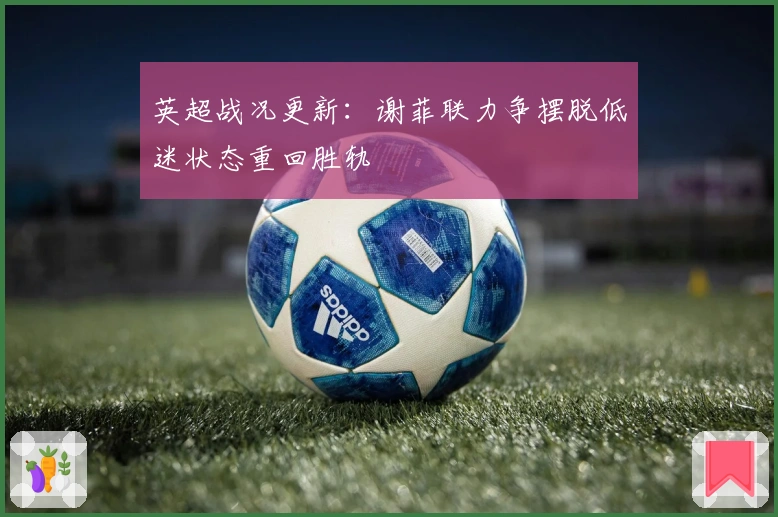 英超战况更新：谢菲联力争摆脱低迷状态重回胜轨